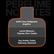 Villain On The Rocks Eau De Parfum For Men Premium Long-Lasting Mens Fragrance (100 ml)