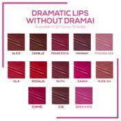 Renee Gloss Stay Transferproof Glossy Liquid Lip Color - 013 Brick Kate (3.5 ml)
