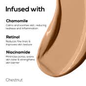 Renee Pro Concealer - 06 Chestnut (14 ml)