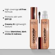 Renee Pro Concealer - 07 Spiced Rum (14 ml)