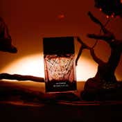 Giordano Midnight Oud Eau de Parfum (100 ml)