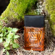 Giordano Wild Safari Eau de Parfum (100 ml)