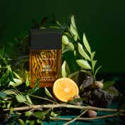 Giordano Wild Safari Eau de Parfum (100 ml)