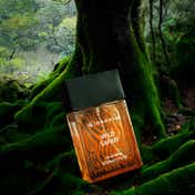 Giordano Wild Safari Eau de Parfum (100 ml)