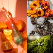 Giordano Peppy Peach Body Mist (250 ml) Contains Peach, Pine & Moss