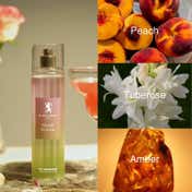 Giordano Fresh Bloom Body Mist (250 ml) Contains Peach, Tuberose & Amber