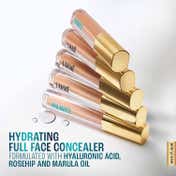 Lakme 9to5 Hya Matte Liquid Concealer - Nude (2 ml)