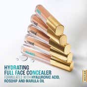 Lakme 9to5 Hya Matte Liquid Concealer - Cocoa (2 ml)