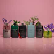 Gucci Guilty Love Edition for Men (50 ml)