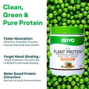 Oziva Bioactive Plant Protein for Endurance and Muscle Recovery Plant Based - Mango Delight (500 g)