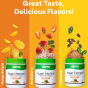 Oziva Bioactive Plant Protein for Endurance and Muscle Recovery Plant Based - Mango Delight (500 g)