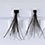 PAC Flare False Eyelash - FL4 (60 pcs)