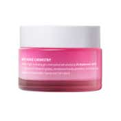 Plum 1% Hyaluronic Acid Dew It Light Gel Moisturizer Bulgarian Rose Pack of 2 Combo