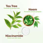 Mamaearth Tea Tree Oil Control Face Wash with Tea Tree & Neem for Normal to Oily Skin (150 ml)