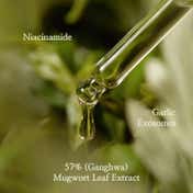I'm From Mugwort Serum (30 ml)