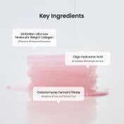 Biodance Collagen Gel Toner Pad (140 g)
