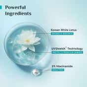 Pilgrim Korean White Lotus Tinted Sunscreen SPF 50+ PA++++ with 3% Niacinamide (50 ml)