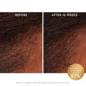 Moroccanoil Scalp Revitalizing Tonic Hair Spray (100 ml)