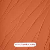 FOCALLURE Lasting Matte Lipstick - NU02 Pumpkin Nude (3.5 g)