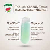 Wellbeing Nutrition Slow Cholesterol Control with Clinically Proven Corowise & Vegapure (60 Capsule)