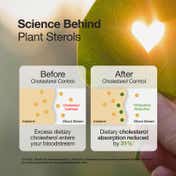 Wellbeing Nutrition Slow Cholesterol Control with Clinically Proven Corowise & Vegapure (60 Capsule)