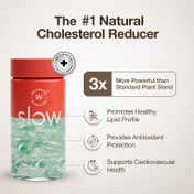 Wellbeing Nutrition Slow Cholesterol Control with Clinically Proven Corowise & Vegapure (60 Capsule)