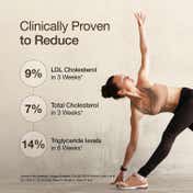 Wellbeing Nutrition Slow Cholesterol Control with Clinically Proven Corowise & Vegapure (60 Capsule)