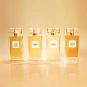 Elizabeth Arden Untold Absolu Eau De Parfum (100 ml)