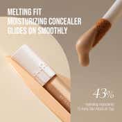TFIT Idol Cover Concealer - P01 Petal Beige (6.5 g)