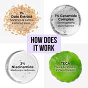 Dr. Sheth's Oat & Ceramide Sensitive Skin Moisturizer (100 g)