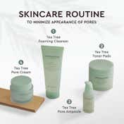 The Face Shop Salicylic Acid Tea Tree Gel Cleanser with AHA & PHA -Korean Face Wash for Acne(100 ml)