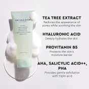 The Face Shop Salicylic Acid Tea Tree Gel Cleanser with AHA & PHA -Korean Face Wash for Acne(100 ml)