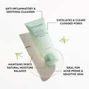 The Face Shop Salicylic Acid Tea Tree Gel Cleanser with AHA & PHA -Korean Face Wash for Acne(100 ml)