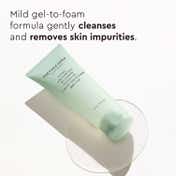 The Face Shop Salicylic Acid Tea Tree Gel Cleanser with AHA & PHA -Korean Face Wash for Acne(100 ml)