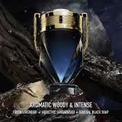 Rabanne Invictus Parfum (50 ml)