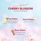 Aqualogica Refresh+ Perfume Body Mist - Cherry Blossom Bloom (150 ml)