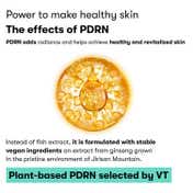 VT Cosmetics Pdrn 100 Essence (30 ml)