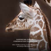 CHANTECAILLE Luminescent Eye Shade - Giraffe (2.5 g)