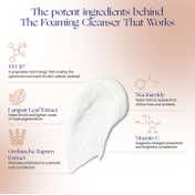 Augustinus Bader The Foaming Cleanser (100 ml)