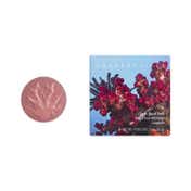 CHANTECAILLE Cheek Shade - Coral Laughter (2.5 g)
