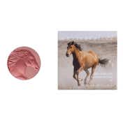 CHANTECAILLE Cheek Shade - Joy Horse (2.5 g)