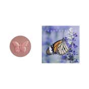 CHANTECAILLE Cheek Shade - Butterfly Bliss (2.5 g)