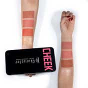 Character Pro Highlighter & Blush Palette - C-A201 (57.6 g)