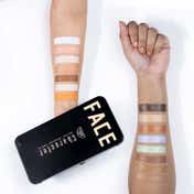Character Pro Concealer Palette - C-A302 (45 g)