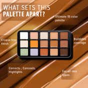 Character Pro Concealer Palette - C-A302 (45 g)