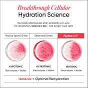 Wellbeing Nutrition HydraSalt Electrolyte Drink Raspberry Lemon Flavor Pack of 15 (90 g)