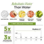 Wellbeing Nutrition HydraSalt Electrolyte Drink Cucumber Lemonade Flavor Pack of 15 (90 g)