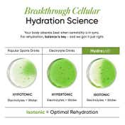 Wellbeing Nutrition HydraSalt Electrolyte Drink Cucumber Lemonade Flavor Pack of 15 (90 g)