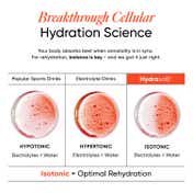 Wellbeing Nutrition HydraSalt Electrolyte Drink Blood Orange Flavor Pack of 15 (90 g)