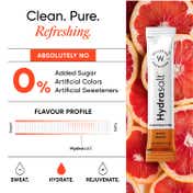 Wellbeing Nutrition HydraSalt Electrolyte Drink Blood Orange Flavor Pack of 15 (90 g)